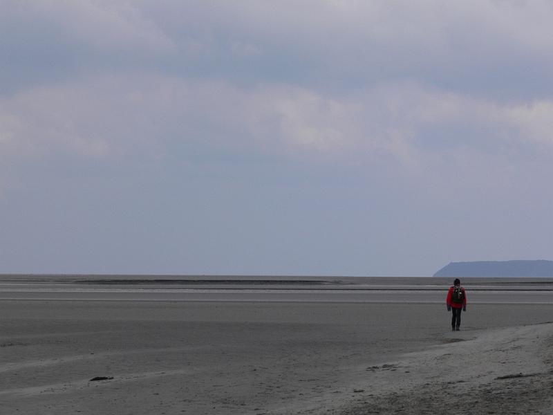 Mont Saint Michel 2010 - 428.jpg